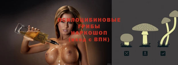 мяу мяу мука Алексин