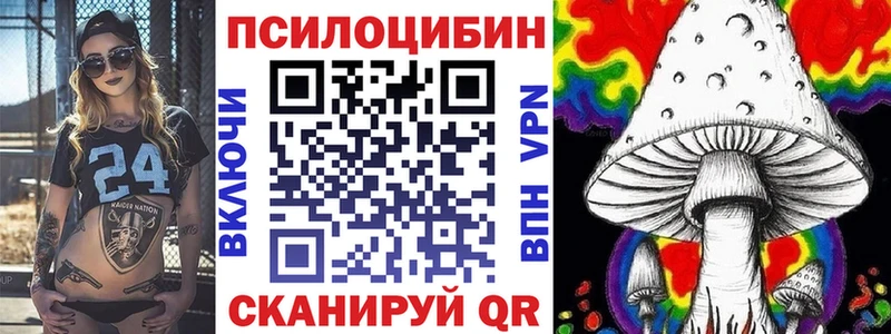 Галлюциногенные грибы Psilocybine cubensis  Шацк 
