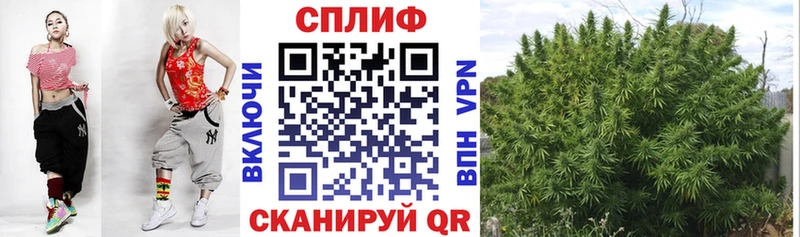 кракен как войти  Шацк  darknet официальный сайт  Бошки Шишки THC 21% 